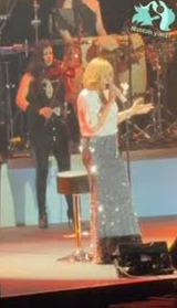 Sequin Skirt